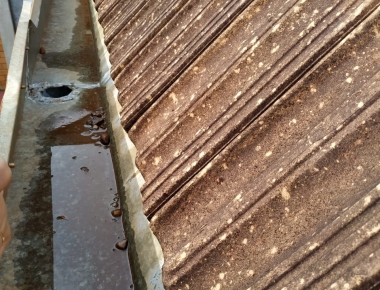 Em meio ao aumento dos casos de Dengue em Mercedes, Secretaria de Saúde encontra inúmeros focos do Aedes aegypti